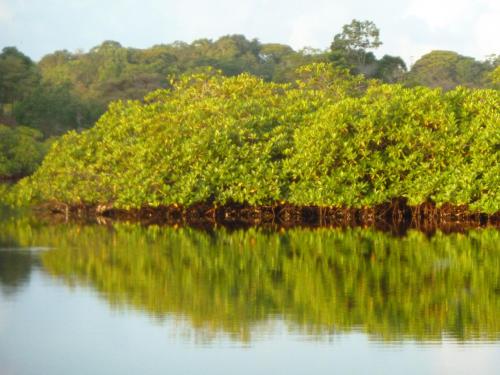 a small island in the middle of a body of water at Villa F&B in Bocas del Toro