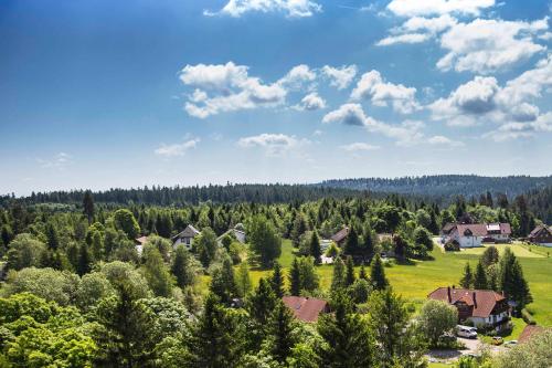 an aerial view of a village with trees and houses at Ferienapartment Hoch hinaus in Kniebis