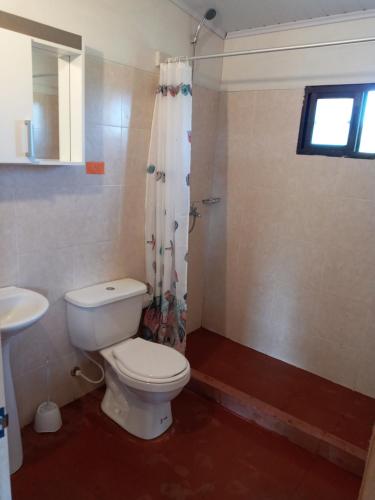 un bagno con wc e doccia di Casa de campo cerca del Cabo a Rincón de los Oliveras