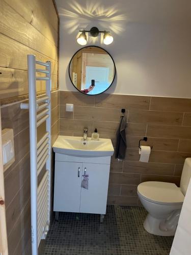 a bathroom with a sink and a toilet and a mirror at JZ Guest Ranch in Woldenberg Neumark