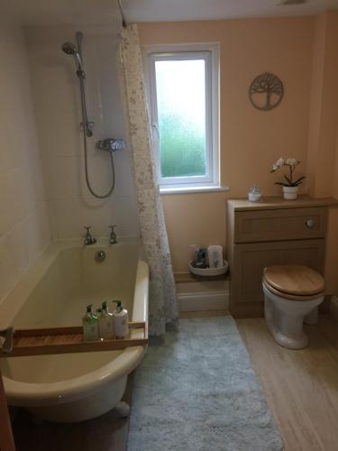 a bathroom with a tub and a toilet and a window at Larksfield Loft in Okehampton