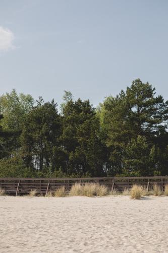 a beach with a fence and trees in the background at Hotel Shuum Boutique - Destigo Hotels in Kołobrzeg