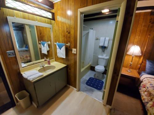 uma casa de banho com um lavatório, um WC e um espelho. em Pocono mountain hotel and spa em Gouldsboro