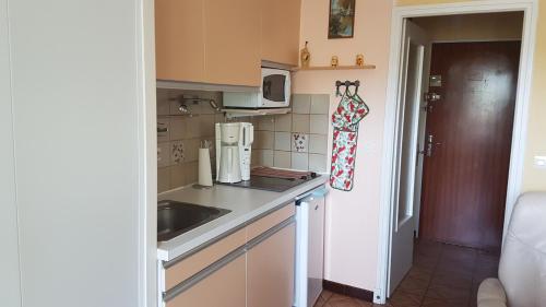 una pequeña cocina con fregadero y microondas en Joli studio de 26 m² avec véranda de 6 m² calme et vue sur montagne, en Amélie-les-Bains-Palalda