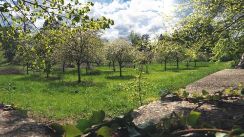 Φωτογραφία από το άλμπουμ του Les Ecuries du Château de Brumare σε Brestot