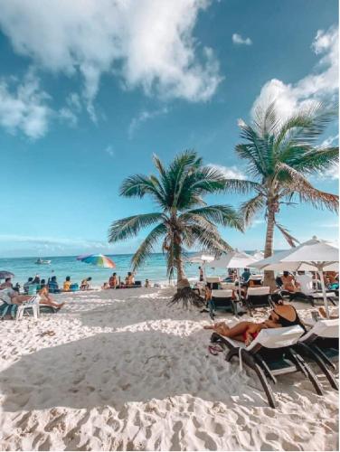 a group of people sitting on a beach with palm trees at AKBAL Playa - Beach Zone in Playa del Carmen