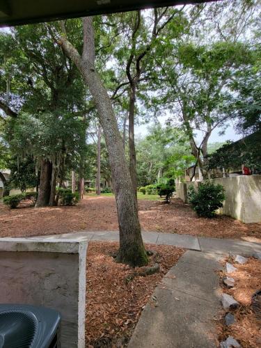 HHI Homes- Newly Renovated Cozy Modern Pet-Friendly Villa-Ideal Location photo 71