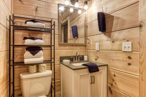 a bathroom with a toilet and a sink at Ooglie Bear, Hot Tub, WIFI, Free Attraction Tickets!!! in Gatlinburg
