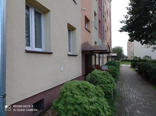 um edifício com arbustos verdes ao lado de um passeio em Apartament na parterze em Stalowa Wola
