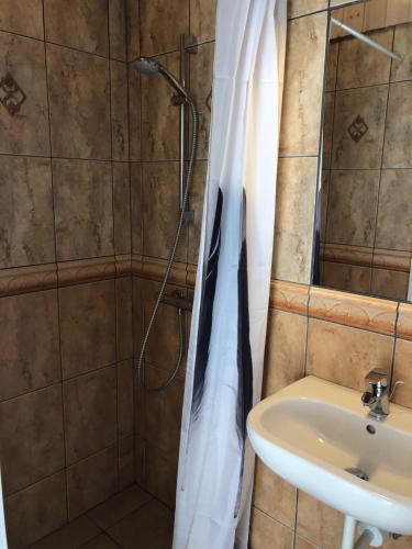 W łazience znajduje się prysznic i umywalka. w obiekcie Emmerbølle Luksushytter med havudsigt w mieście Tranekær