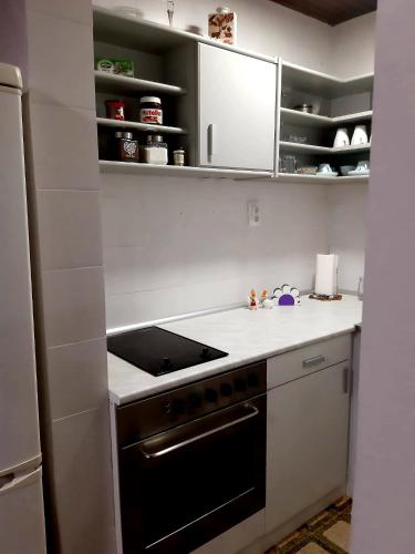 a kitchen with a stove and a white counter top at Seosko turističko domaćinstvo "Klinačka priča" in Valjevo