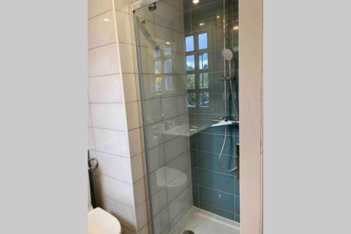 une salle de bain avec une douche avec une porte vitrée dans l'établissement Le petit pontépiscopien, à Pont-l'Évêque