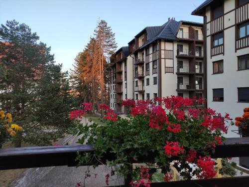 Κήπος έξω από το Apartman 23 Titova vila
