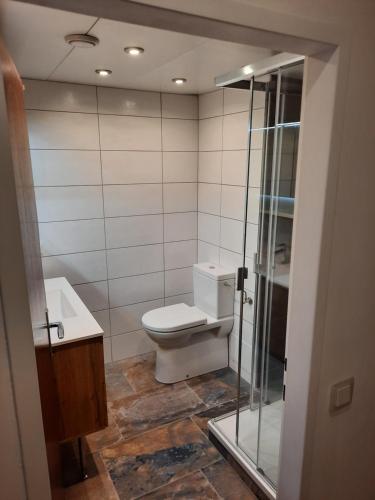 a bathroom with a toilet and a sink and a shower at Appartement am Ossiachersee in Villach