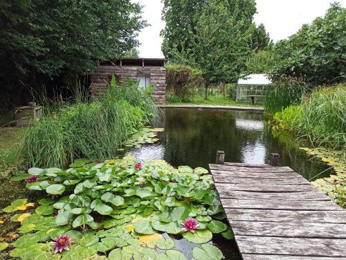 un étang avec des nénuphars et un pont en bois dans l'établissement Roulotte climatisée avec piscine naturelle, à Vaux-en Couhé