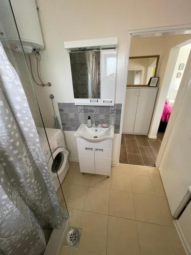 a bathroom with a sink and a toilet at Apartmani Gacic- Sabac in Šabac