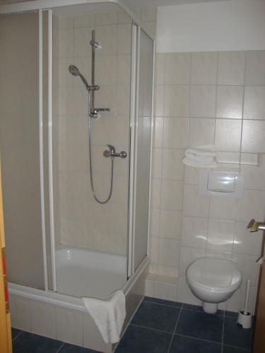 a bathroom with a shower and a toilet at Apart Hotel Sarstedter Hof in Sarstedt