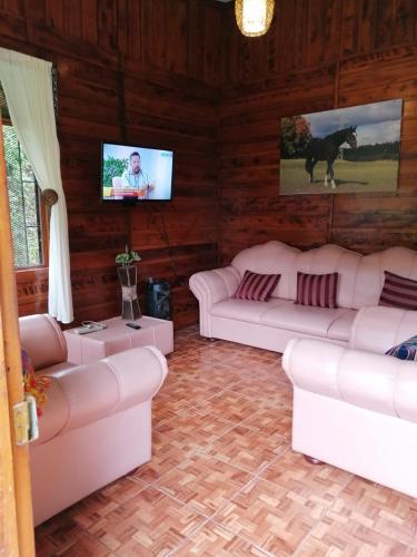 a living room with two white couches and a tv at Casa de campo Perlas del Río in Cartago