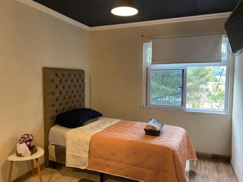 a bedroom with a bed and a window at Kaena Point Hostel in Guatemala