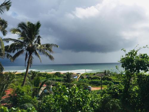 a view of a beach with a palm tree and the ocean at The golden villa in Calangute