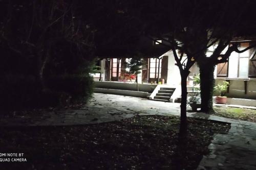 a tree in front of a building at night at ΑΡΧΟΝΤΙΚΟ ΣΤΟΥΣ ΠΡΟΠΟΔΕΣ ΤΟΥ ΟΡΟΥΣ ΔΙΡΦΥΣ in Loútsa