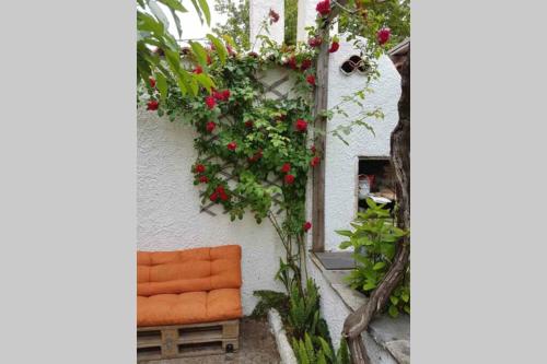 an orange couch sitting on the side of a building with flowers at ΑΡΧΟΝΤΙΚΟ ΣΤΟΥΣ ΠΡΟΠΟΔΕΣ ΤΟΥ ΟΡΟΥΣ ΔΙΡΦΥΣ in Loútsa