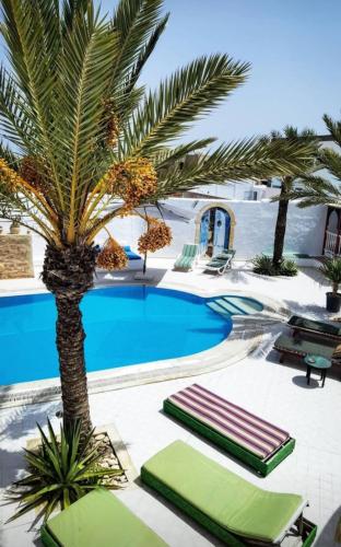 a swimming pool with a palm tree and lounge chairs at Maison Leila chambres d hotes in Midoun