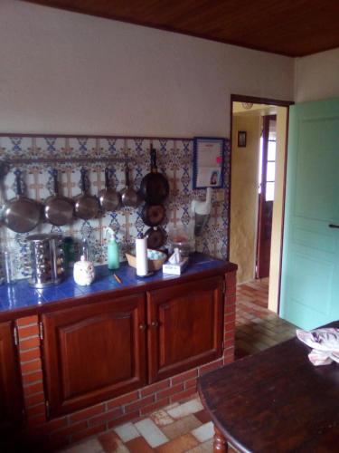 a kitchen with a counter and a counter top at chez gourbeix , gery papleux in Arpheuilles-Saint-Priest