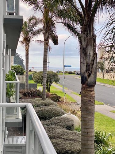 a palm tree on the side of a house at Modern Beach Apartment with Pool & Location in Mount Maunganui