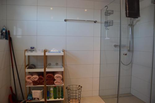 ein Badezimmer mit Dusche mit Glastür in der Unterkunft Schottar FeWo MG 07 in Dornbirn