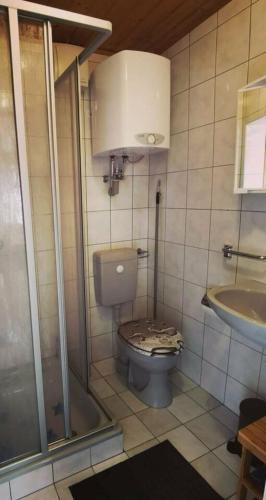 ein Badezimmer mit Toilette und Waschbecken in der Unterkunft Ferienbungalow im Igelbau in Baabe