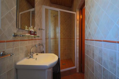a bathroom with a sink and a shower at Hallo Jacobsbaai in Jacobs Bay