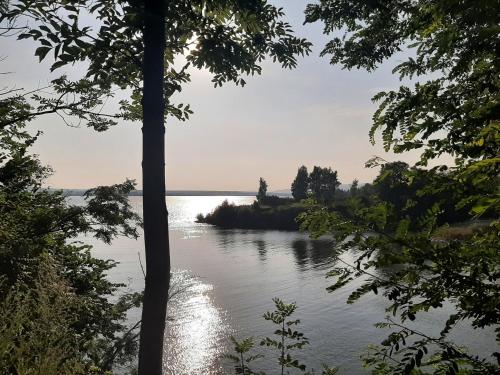 a view of a river from between two trees at Krasna Chata Maniowy in Maniowy