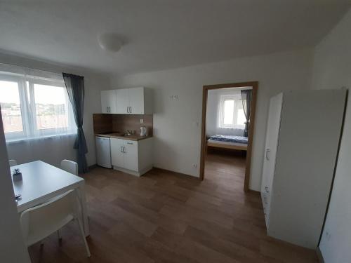 Köök või kööginurk majutusasutuses Valen apartmány Valtice
