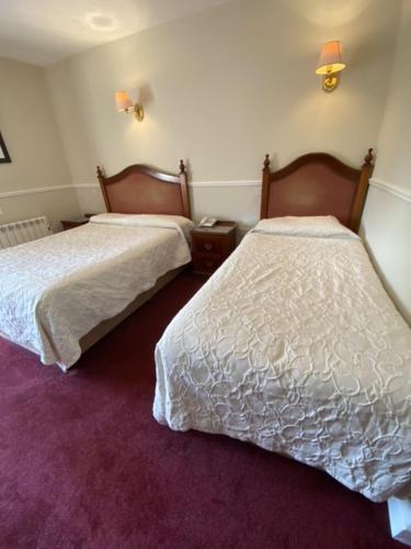 two beds in a room with purple carpet at Monaghans Harbour Hotel in Naas