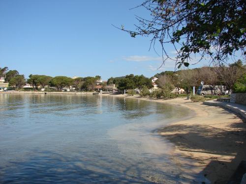 Bruna apartment 1Min Walk to Beach & near Old Town
