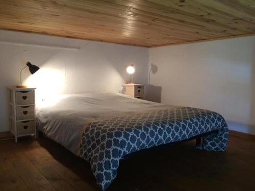 um quarto com uma cama com um cobertor azul em Appartement cosy Place Paoli em Corte