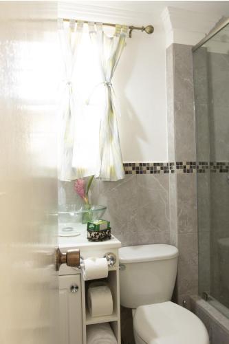 a bathroom with a toilet and a window at Apartment Soleil- Because Location really is everything! in Soufrière