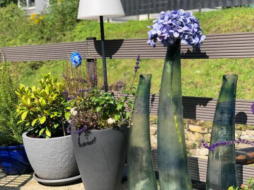 a group of vases with flowers and plants in them at Ferienwohnungen Margot in Iserlohn