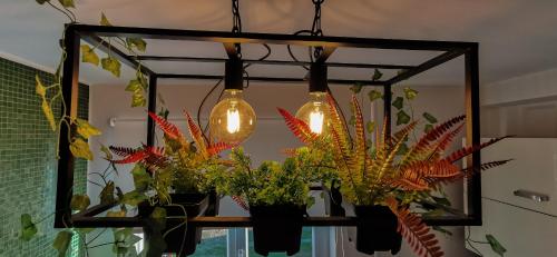 a mirror with three lights and some plants at Nameja Apartments in Jēkabpils