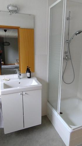 La salle de bains blanche est pourvue d'un lavabo et d'une douche. dans l'établissement Hochwald-EnSuite, à Bad Sachsa