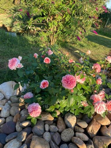 Taman di luar GITE Abeille-Soleil