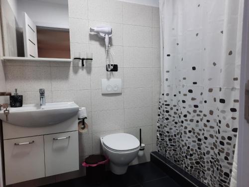 La salle de bains est pourvue de toilettes, d'un lavabo et d'une douche. dans l'établissement CASA GIA CALIMANESTI, à Călimăneşti