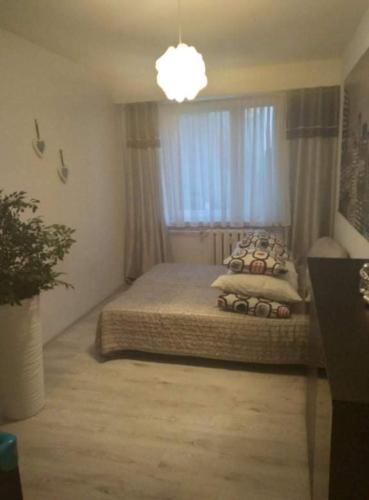 ein Schlafzimmer mit einem Bett und einem großen Fenster in der Unterkunft Apartament New Jork in Olsztyn