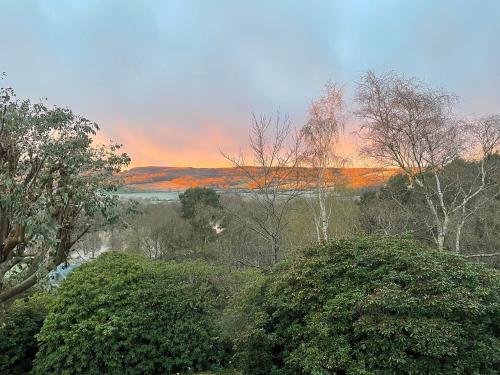 Surrey Hills Cottage