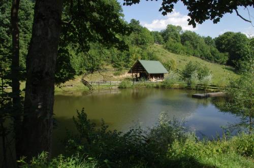 Příroda nedaleko prázdninového domu