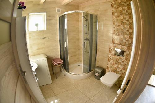 uma casa de banho com um chuveiro e um WC. em Domek letniskowy Nad Stawem em Lipusz