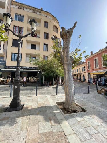 a tree in the middle of a street with a street light at Calvi T2 climatisé, wifi, centre-ville, à proximité plage, commerces, taxi & gare, vue plage & montagne in Calvi