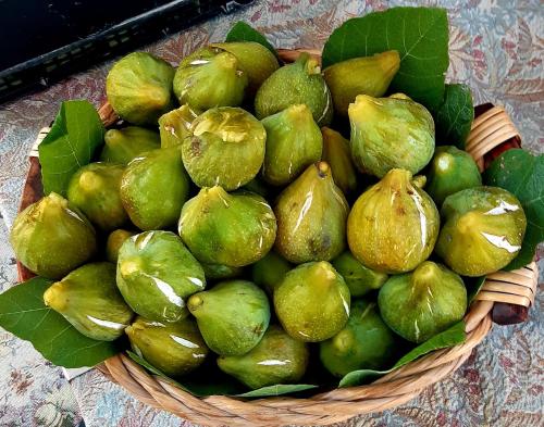 a basket filled with green and yellow fruit at A Casa Di Nonna B&B in Tortoreto Lido