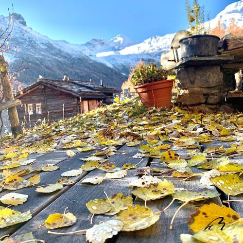 a pile of leaves on the ground next to a house at Châlet Birkhahn in Saas-Fee